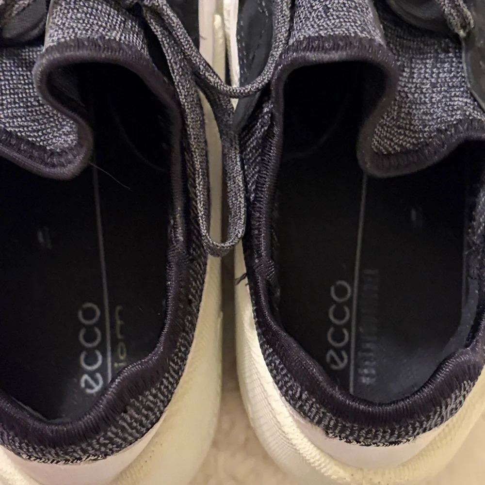 Ecco excellent questions